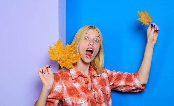 Menina loira surpreso com folhas de bordo. Moda de mulher de outono. Sorrindo mulher brincando com folhas - Foto, Imagem