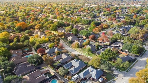 Podział rozległe kolorowe liści jesieni, rząd domów jednorodzinnych rozszerza się do poziomej linii w pobliżu Dallas, Teksas, USA. Założona podmiejska dzielnica mieszkalna basen duży ogród - Zdjęcie, obraz