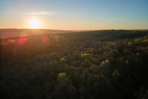 Αεροφωτογραφία του δάσους με φρέσκα πράσινα δέντρα νωρίς την άνοιξη στο ηλιοβασίλεμα. - Φωτογραφία, εικόνα