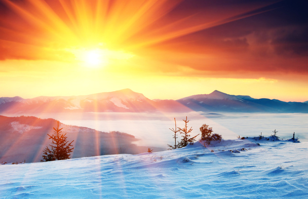 山の冬の風景 - 写真・画像