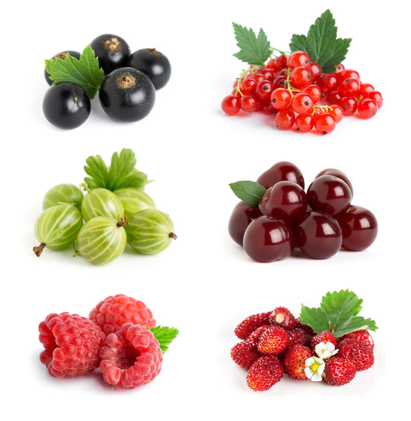 Berries - Foto, afbeelding