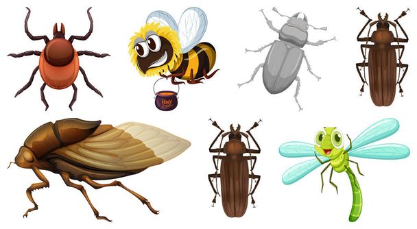 Set of different kinds of insects illustration - Vector, Image