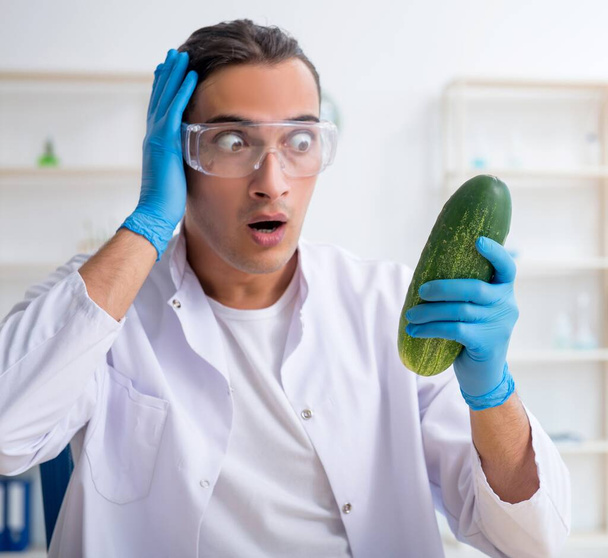 L'expert en nutrition masculine teste les légumes en laboratoire - Photo, image
