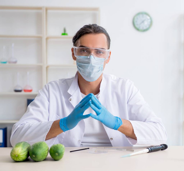 Эксперт по мужскому питанию тестирует овощи в лаборатории - Фото, изображение