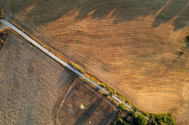 秋の農地の形成の空中写真資料  - 写真・画像