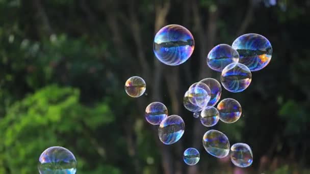 Burbujas de jabón flotando en el aire con fondo bokeh borroso verde natural para niños y niños en el parque - Metraje, vídeo