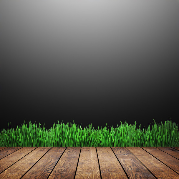 Green grass against gray background - 写真・画像