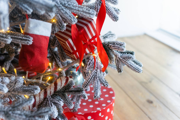 クリスマスの背景-トウヒの木の赤ちゃんと枝. - 写真・画像