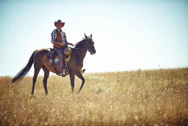 Yeeha. Retrato completo de um homem maduro em um cavalo em um campo - Foto, Imagem