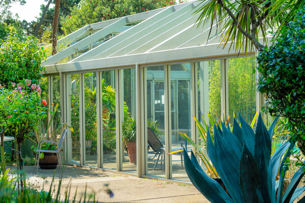 Sunlit greenhouse in backyard garden with trees and foliage. Double gable glass greenhouse with door and sitting area with shaded plants in foreground in suburban area. - Фото, зображення