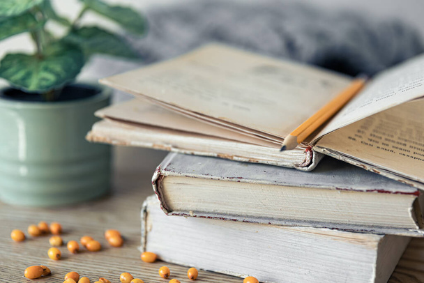 Cozy home composition with a stack of books close-up on a blurred background. - Photo, Image