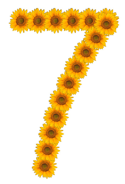 Números de flores de girasol sobre un fondo blanco
 - Foto, imagen