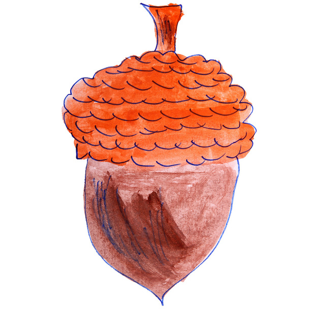 акварельний фундук, жолудяний малюнок мультфільм стиль ізольований на w
 - Фото, зображення