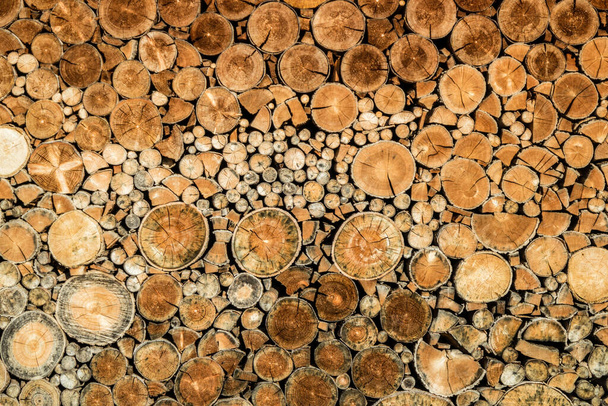Wall of firewood background texture - Фото, изображение