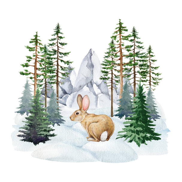 Милий кролик у зимовому лісовому пейзажі. Акварельна ілюстрація. Рука намальована маленьким кроликом, що сидить у сніговій позиці, з сосновими деревами, ялиною, фоном гірського хребта. Дика природа зимова сцена. - Фото, зображення