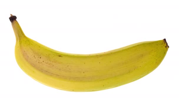 4K Time Lapse of ripening and decaying banana isolated on white background. - Footage, Video