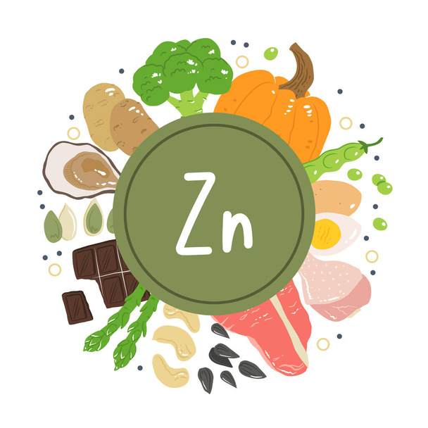 Zinc food sources vector stock illustration. Food products with a high content of zinc. Oysters, pumpkin seeds, sunflower seeds, eggs, asparagus, beef, chicken, cashew nuts. Information poster. - Vector, Image