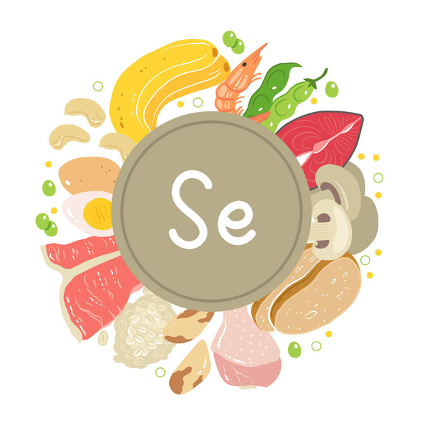Selenium vector stock illustration. Food products with a high content of the mineral. tuna fish, meat, mushrooms, shrimps, brazil nuts, cashew, oats, bread, beans. Information poster. Food, diet. - Vector, Image