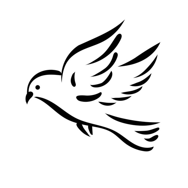 stylized dove bird line art drawing illustration - Vector, Image