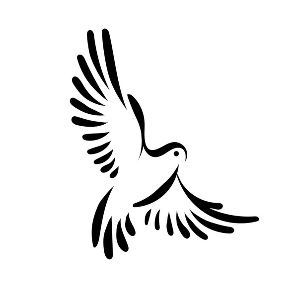 stylized dove bird line art drawing illustration - Vector, Image