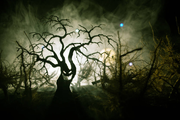 霧の夜に沼の木々のシルエットを示す不気味な暗い風景。火の中の夜の神秘的な森と劇的な曇り空 - 写真・画像