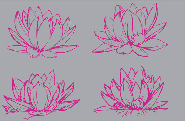 Set of lotus drawing pink - Vector, imagen