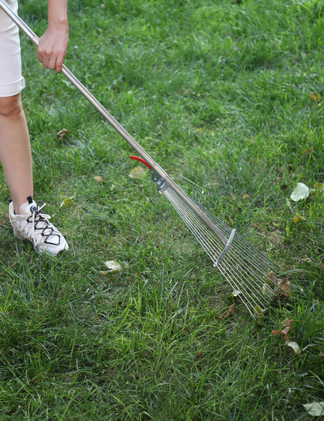 Sliding metal fan rake in the hands of a person cleaning a green area - Foto, immagini