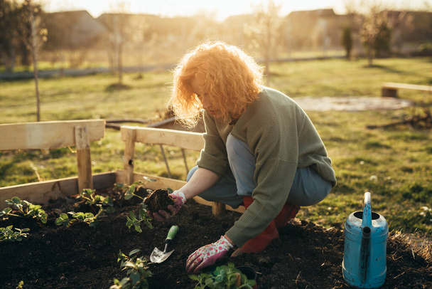 Woman puts plants in the soil - Fotoğraf, Görsel