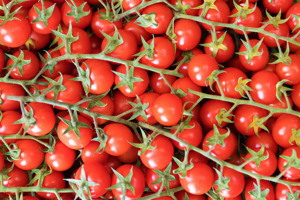 Kirazlı domateslerin arka planı. Sağlıklı yemek.. - Fotoğraf, Görsel