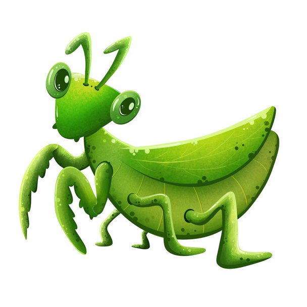 Cute cartoon green mantis standing on two legs Hand Painted - Foto, Imagen