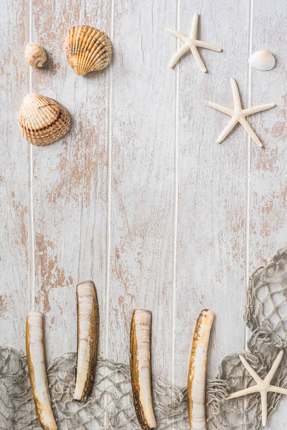 Seashells and starfish on a white wooden background. Holiday and vacation concept. Top view, copy space. - Photo, Image