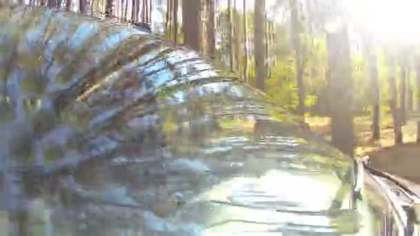 Autofahren, im Wald. - Filmmaterial, Video