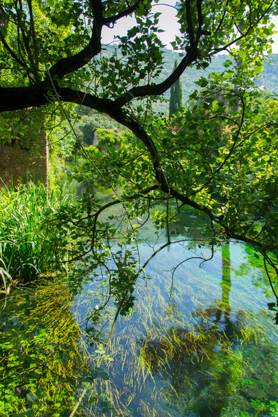 Садові німфи в провінція Рим - Фото, зображення