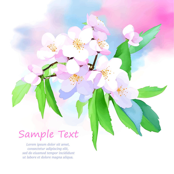 Vector decoration branch with flowers, spring cherry blossom on white background. Place for your text. Design for invitation, card, poster, flyer, label - Vektör, Görsel