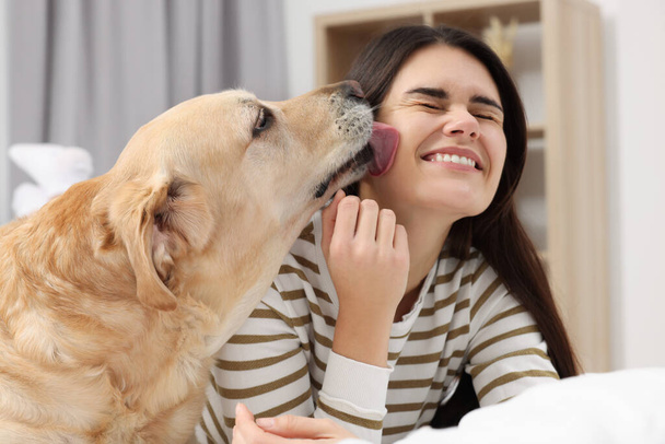 Happy woman with cute Labrador Retriever on bed at home - Foto, Imagen