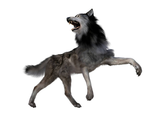The carnivorous Dire Wolf lived in North and South America during the Pleistocene Period. - Photo, Image