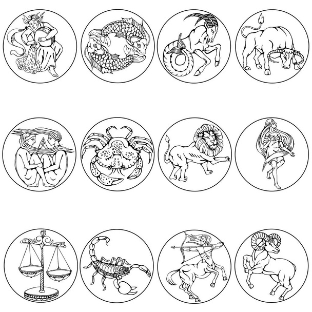 Zodiac asetettu. Eläinten ja symbolien lineaariset kuvat. Henkilön luonne ja olemus syntymäajan ja planeettojen vaikutuksen mukaan. Vektori - Vektori, kuva