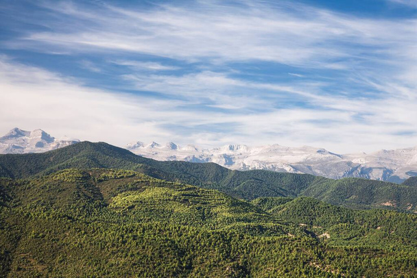 Spanish landscape with forest covering hills and Pyrenees mountains in the distance. Aragon, Spain - Photo, Image
