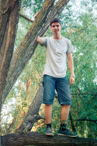 Genç bir adam parkta uzun bir ağacın dalında duruyor. Çocuk doğada oynar ve ağaçlara tırmanır.. - Fotoğraf, Görsel