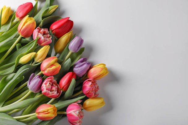 Beautiful tulips on light grey background, flat lay. Space for text - Foto, Bild