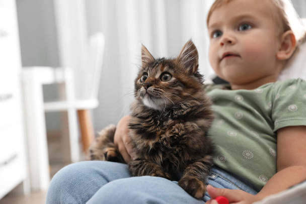 Cute little child with adorable pet sitting in armchair at home - Fotoğraf, Görsel