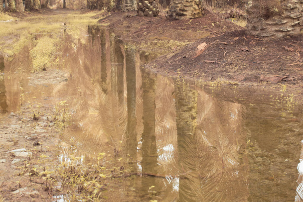 油田に氾濫した雨水の赤外線イメージと排水 - 写真・画像