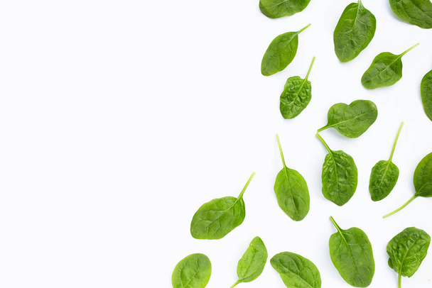 Spinach leaves on white background. - Photo, image