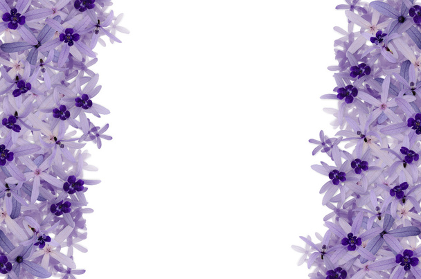 Purple flowers background - Photo, Image