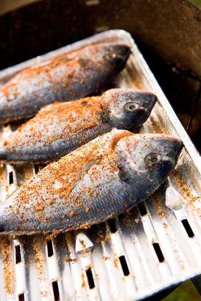 Grilled fish - Photo, Image