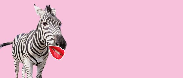 Смешная зебра с красными губами на розовом фоне с пространством для текста - Фото, изображение