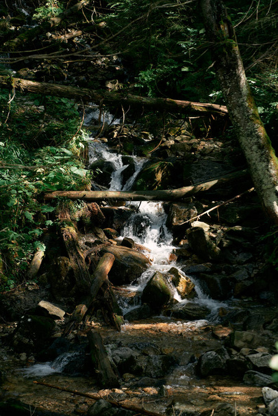 山の中で美しい滝。ポーランド、ヨーロッパの素晴らしい自然. - 写真・画像
