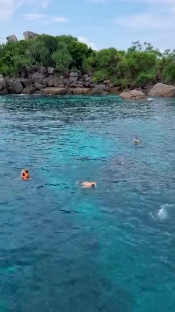 gente haciendo snorkel en las islas del parque nacional de las islas Similan en Tailandia Phangnga - Metraje, vídeo