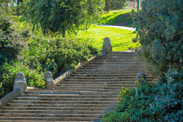 Cementowy schody w park czy ogród w społeczny rekreacyjny rejon podmiejski miasto w popołudniowy cień z drzewo i roślina. Ukryte schody w mieście lub na dziedzińcu tajnego pola w przyrodzie. - Zdjęcie, obraz