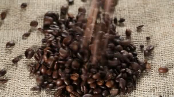 Coffee beans - Záběry, video